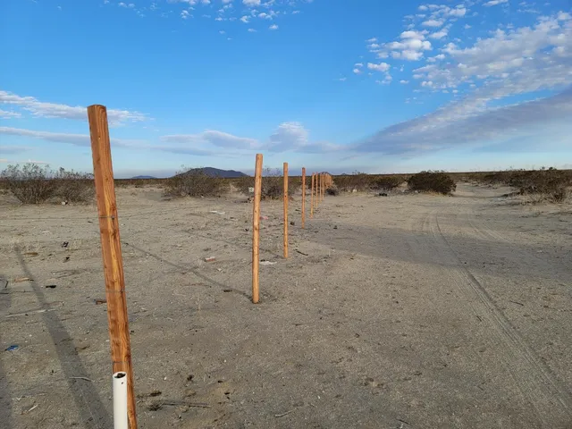 a view of a road with a yard