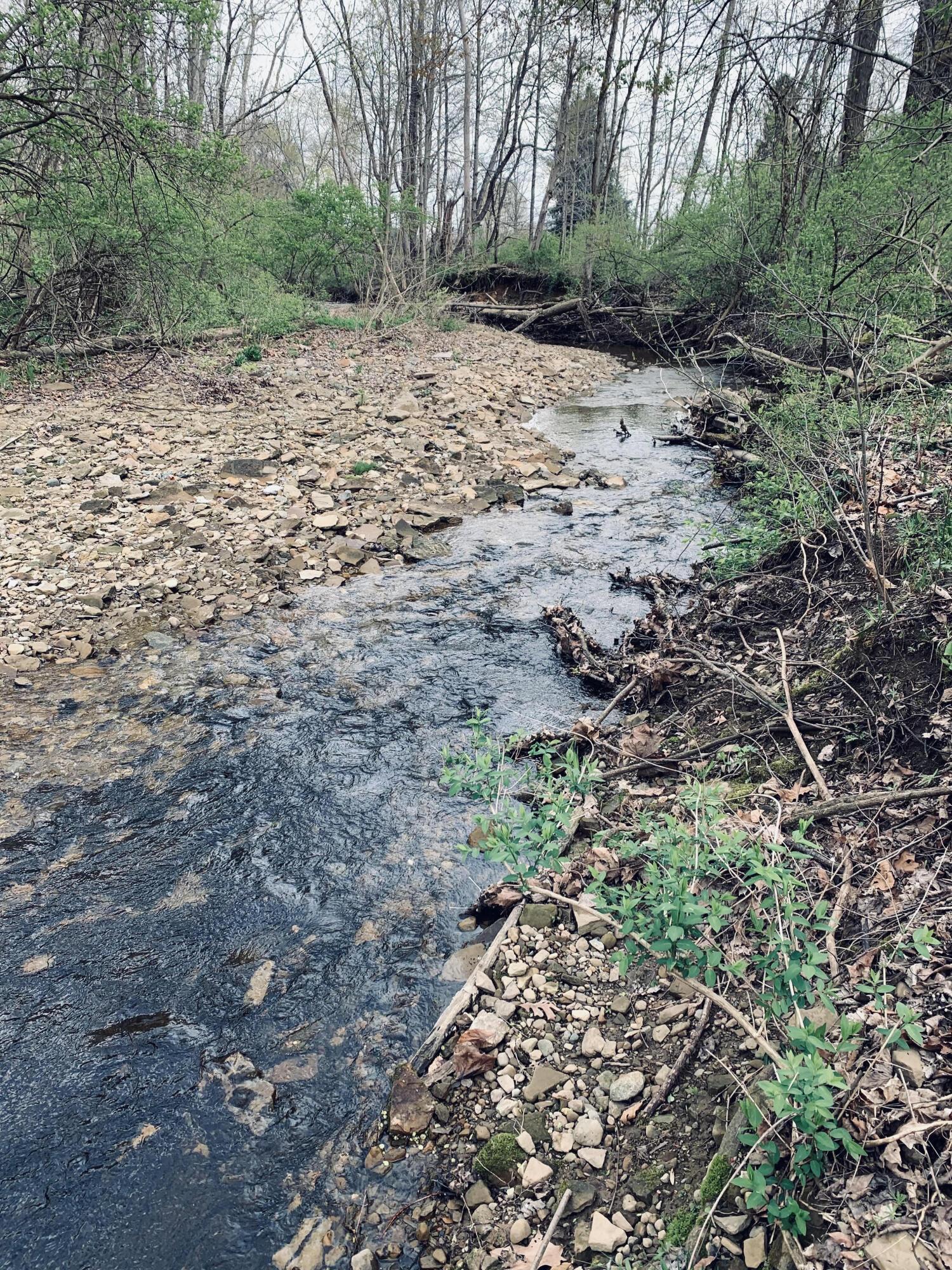 9865 Old Delaware Road Mount Vernon, OH 43050 - Photo 4 of 4 Stream