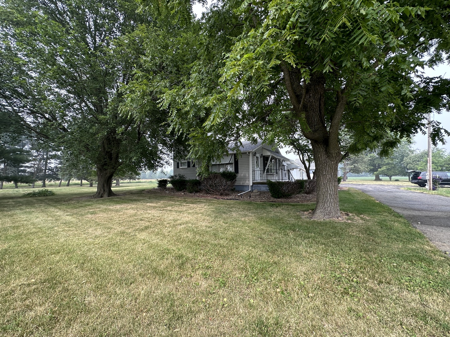 12454 Cracker Road Farmer City, IL 61842 - Photo 3 of 23 a view of a tree in the middle of a yard