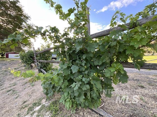 4778 River Road Buhl, ID 83316 - Photo 34 of 36