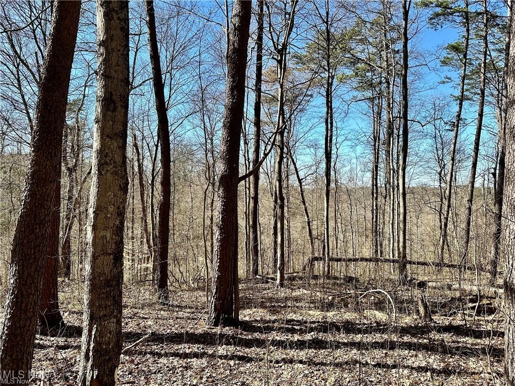 0 Fisher Ridge Road Fleming, OH 45729 - Photo 3 of 7 View of nature