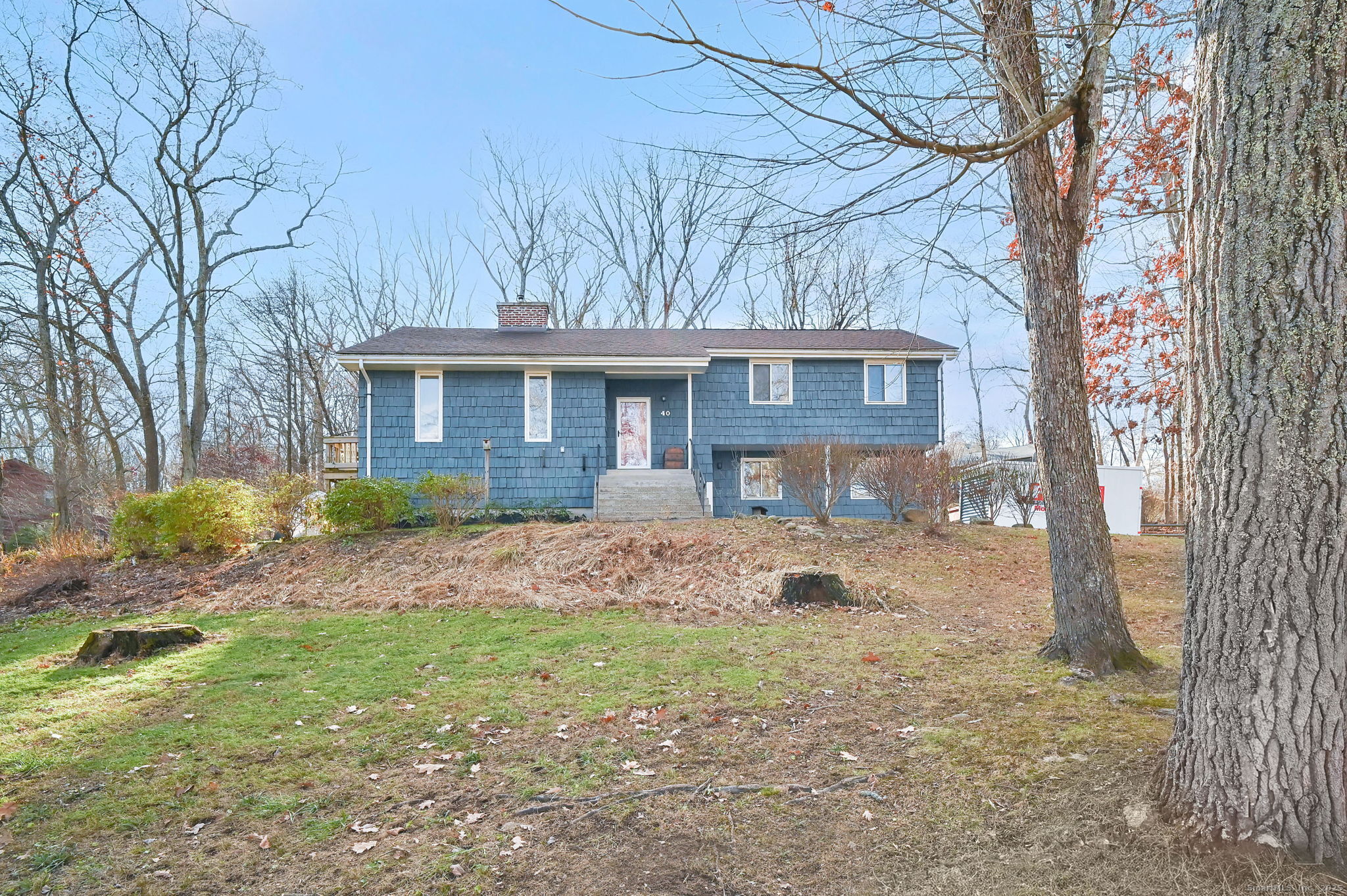 a front view of a house with a yard and large tree