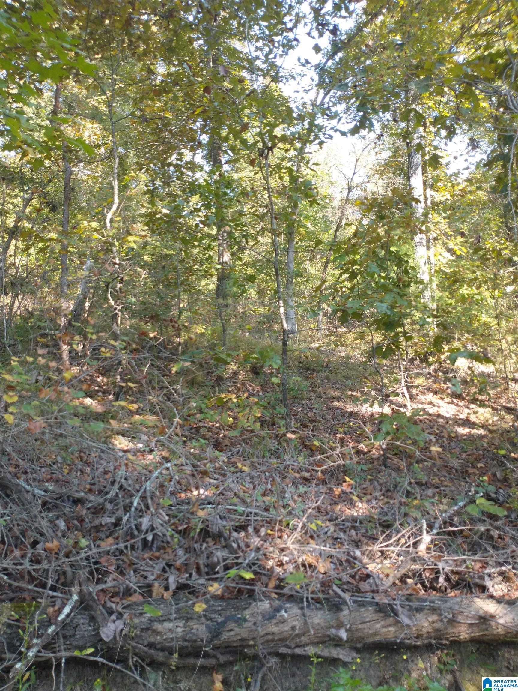 8100 Mckesie Street, Unit 81 ACRES Riverside, AL 35135 - Photo 8 of 18