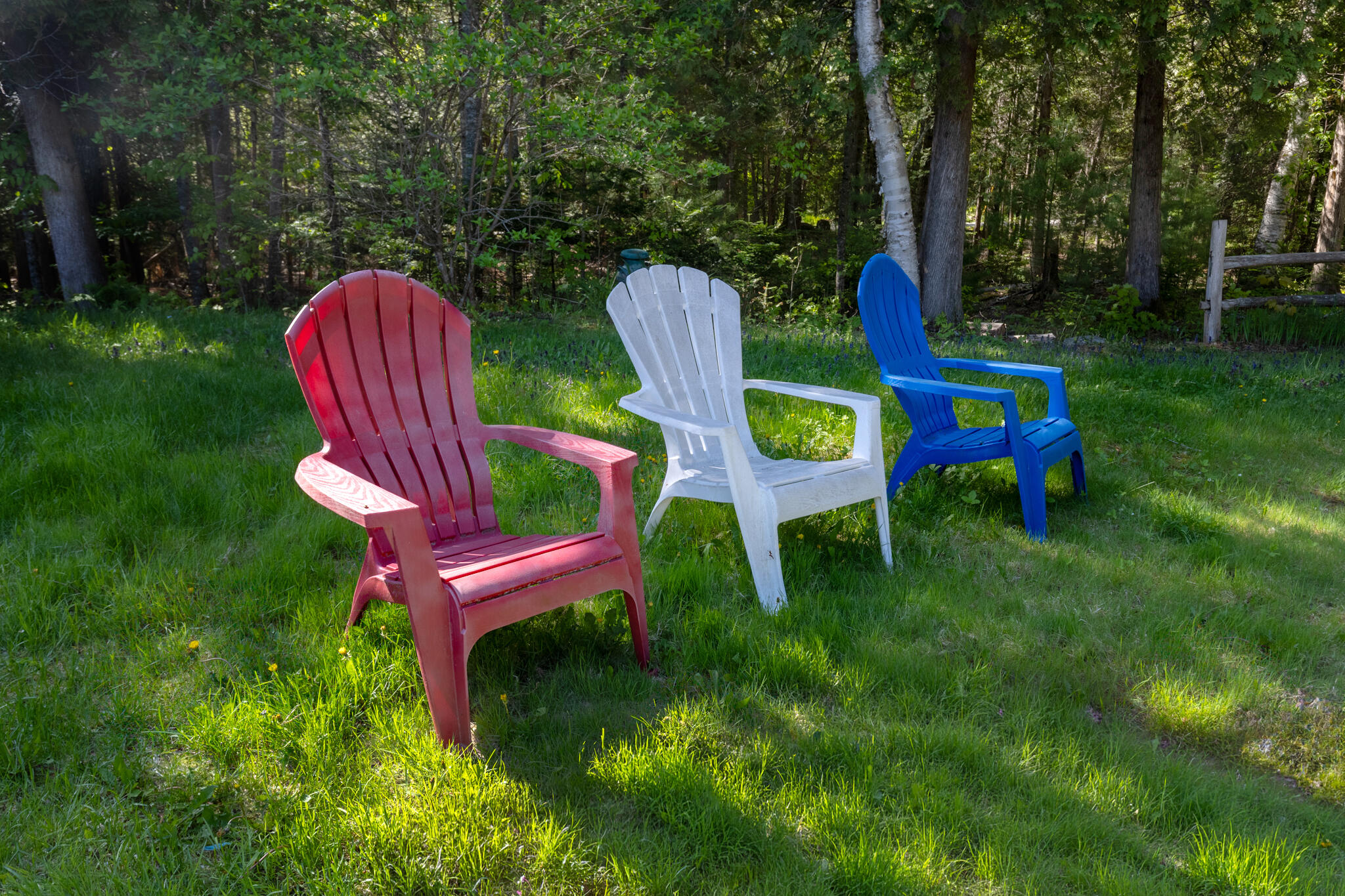 134 East Bucksport Road Orrington, ME 04474 - Photo 45 of 61 20260601-_MG_6162-HDR