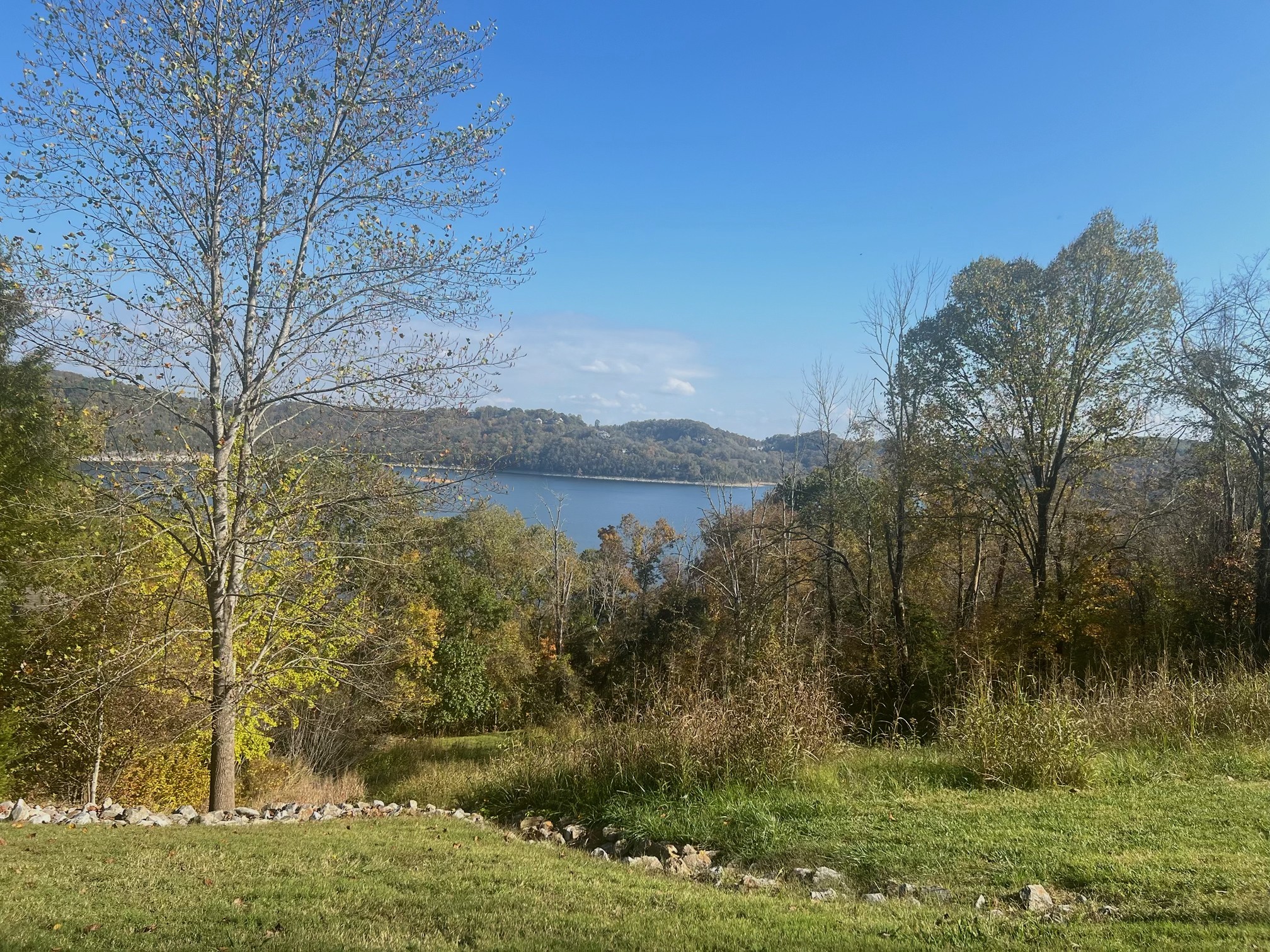 106 Harbor Pointe Drive Silver Point, TN 38582 - Photo 3 of 14 a view of a lake with a yard