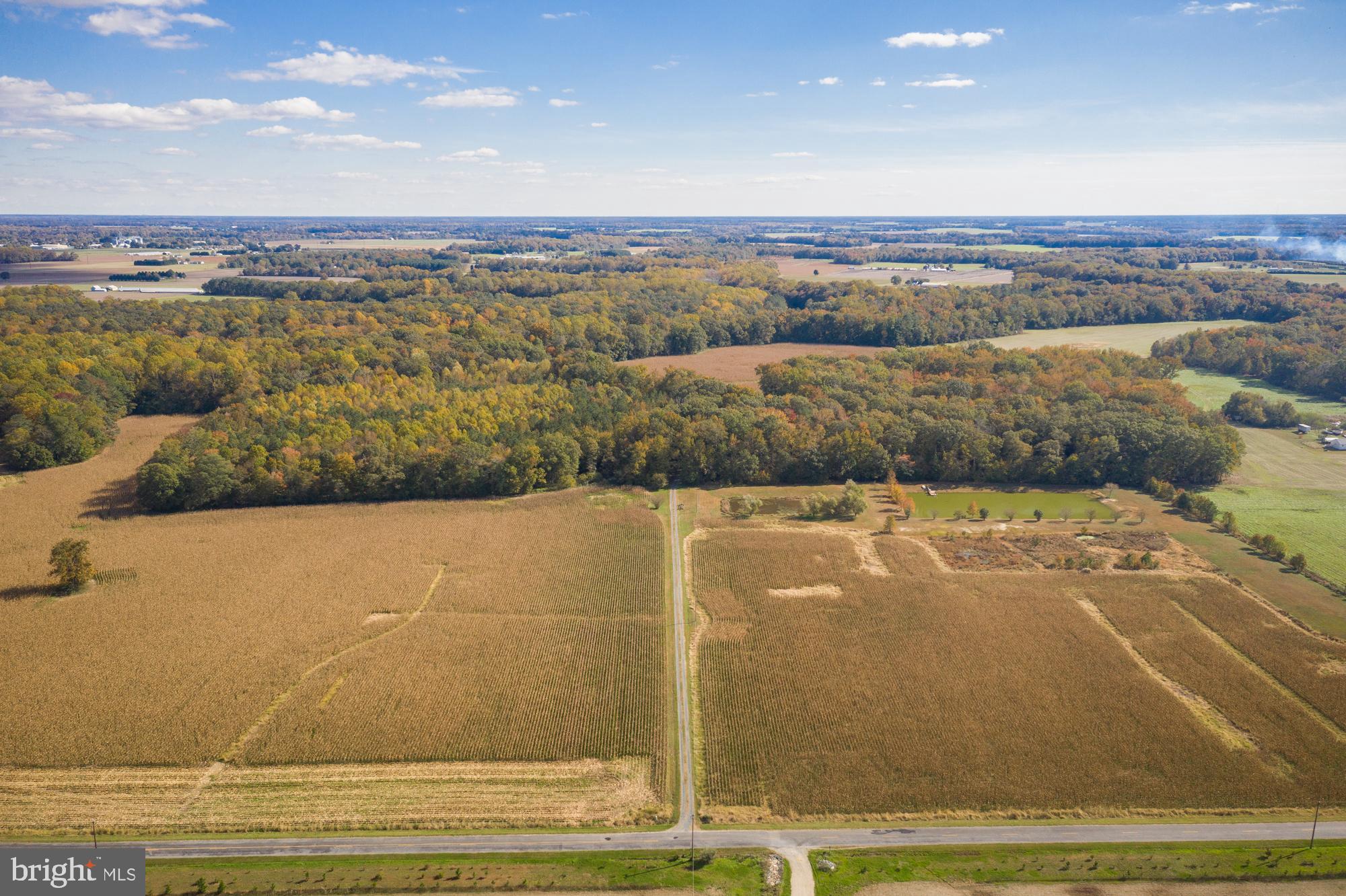 3681 Poplar Neck Road Preston, MD 21655 - Photo 22 of 26 Gallery Image 22