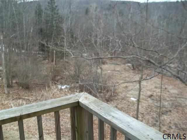 1313 Blue Factory Road Grafton, NY 12052 - Photo 16 of 25 Photo 16