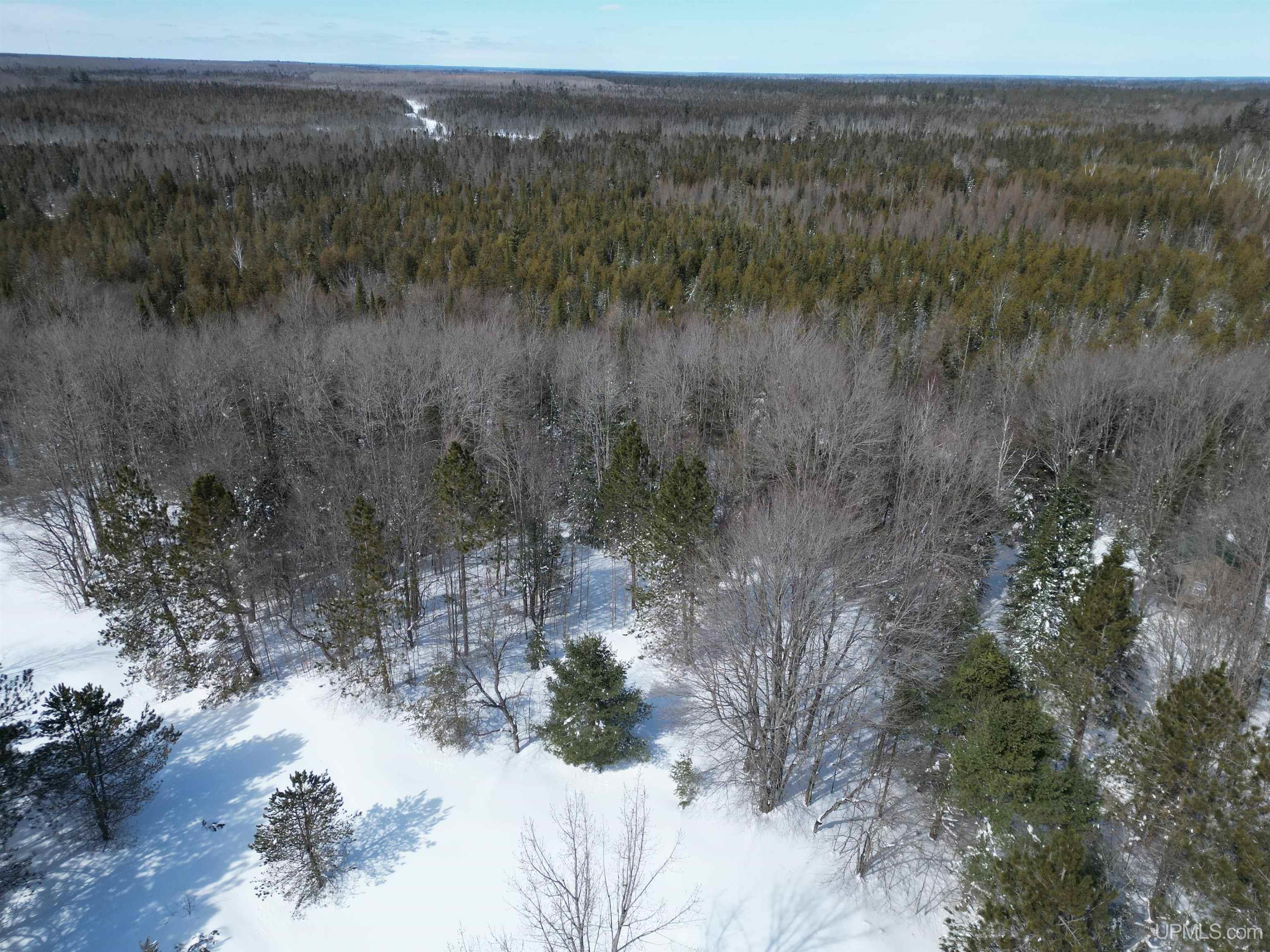 Tbd West Smith Lake Road Manistique, MI 49854 - Photo 11 of 20