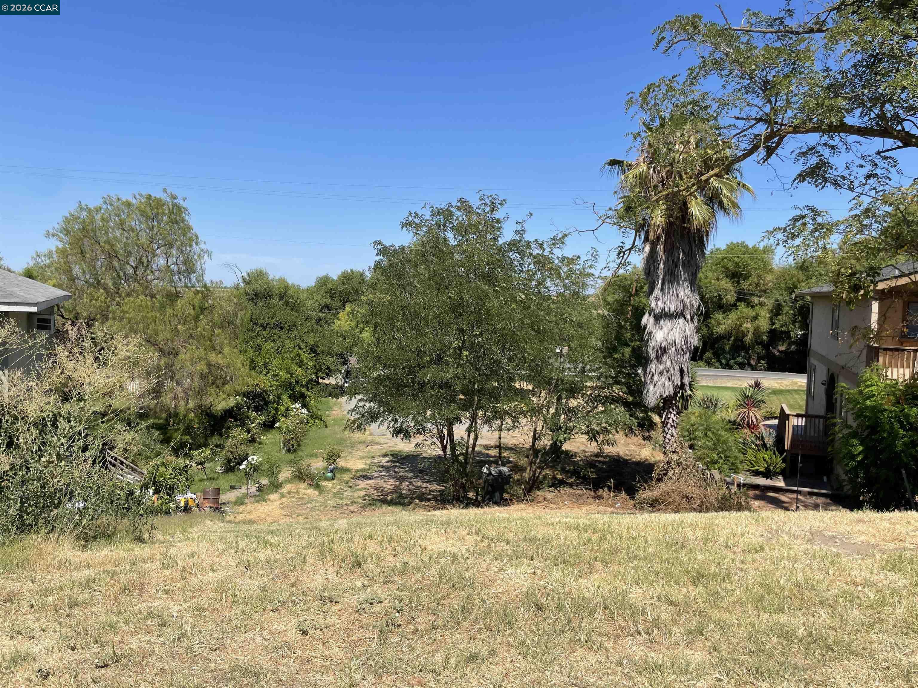 1766 Taylor Road Bethel Island, CA 94511 - Photo 12 of 22 a view of a yard with plants