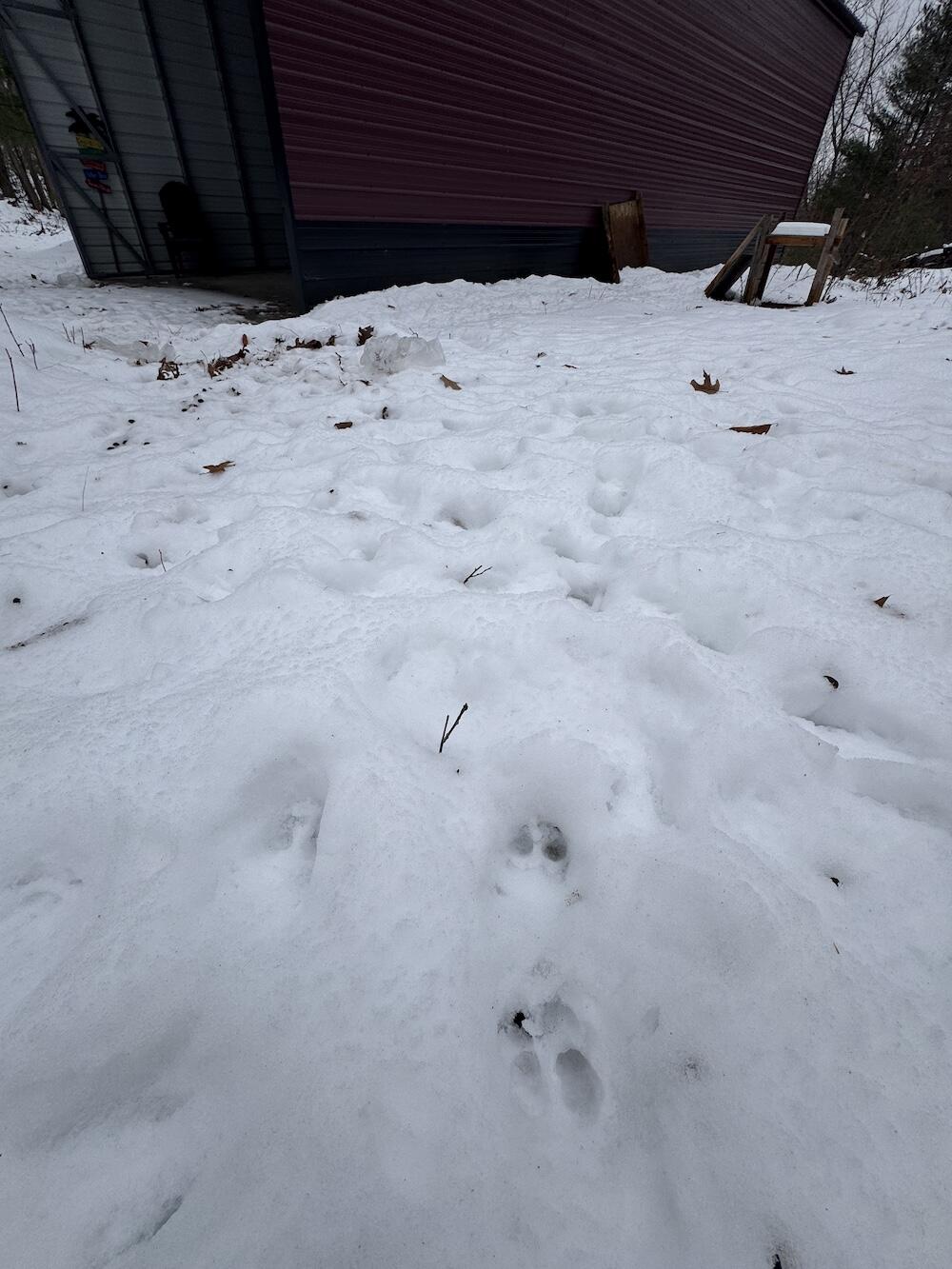 12871 Highway 33 Atlanta, MI 49709 - Photo 12 of 46 IMG_8236