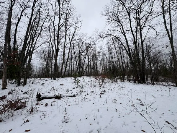 $149,900 | 12871 Highway 33, Atlanta, MI 49709