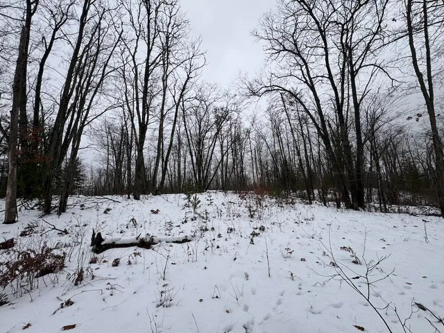 $154,900 | 12871 Highway 33, Atlanta, MI 49709