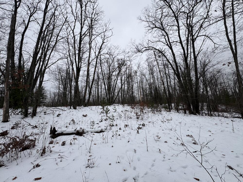 12871 Highway 33 Atlanta, MI 49709 - Photo 13 of 46 IMG_8237