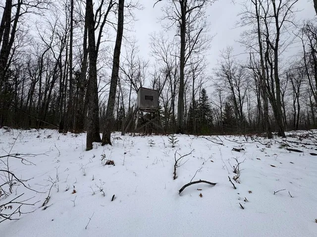 $154,900 | 12871 Highway 33, Atlanta, MI 49709