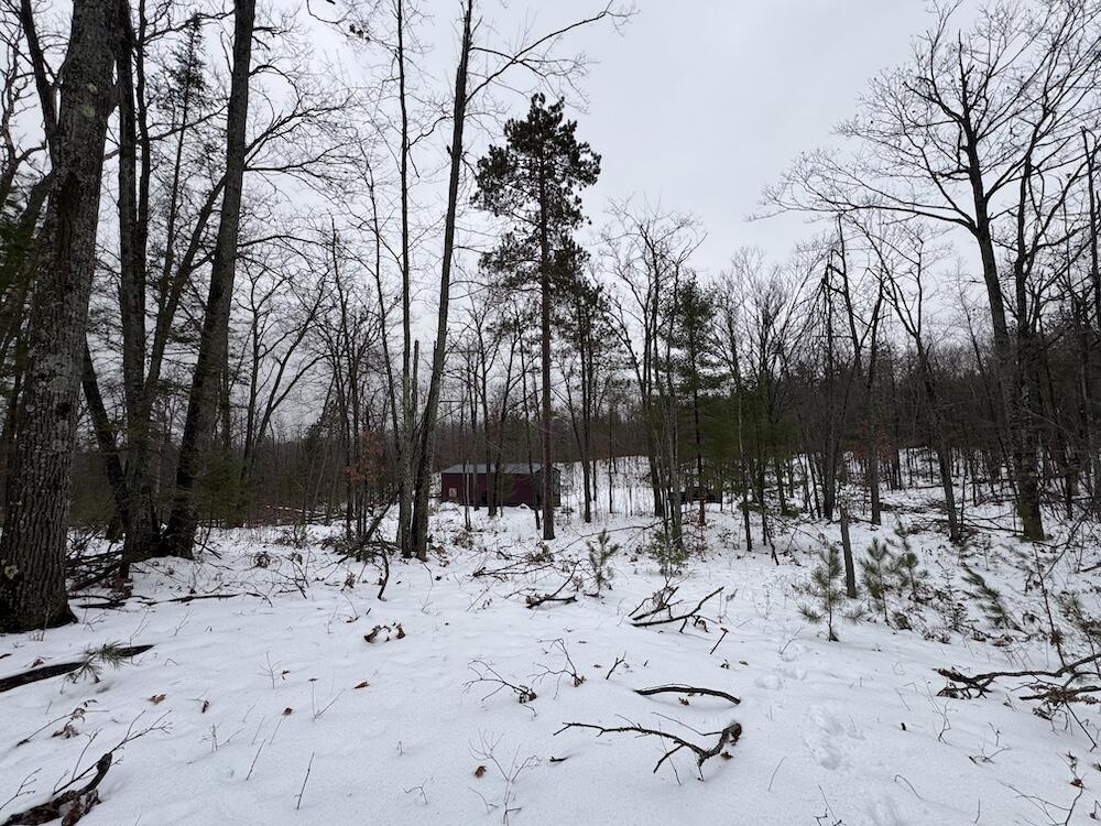 12871 Highway 33 Atlanta, MI 49709 - Photo 15 of 46 IMG_8239