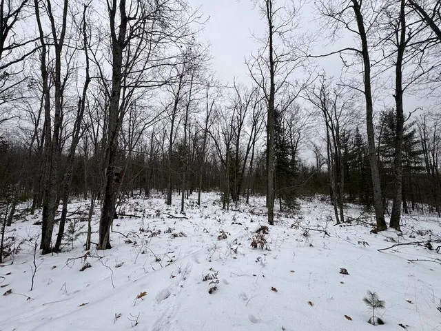 $154,900 | 12871 Highway 33, Atlanta, MI 49709