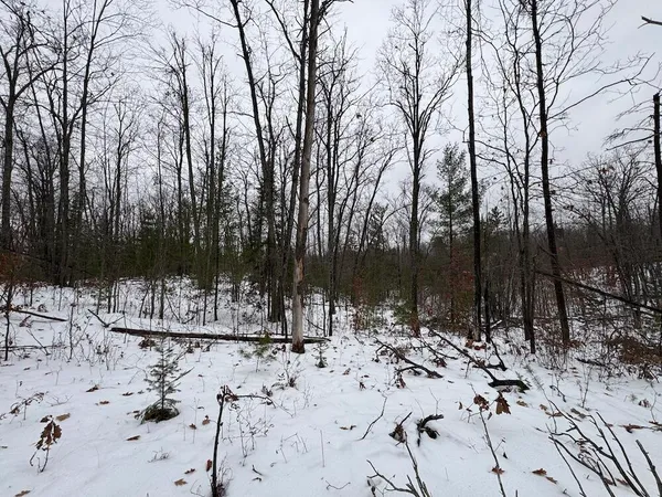 $149,900 | 12871 Highway 33, Atlanta, MI 49709