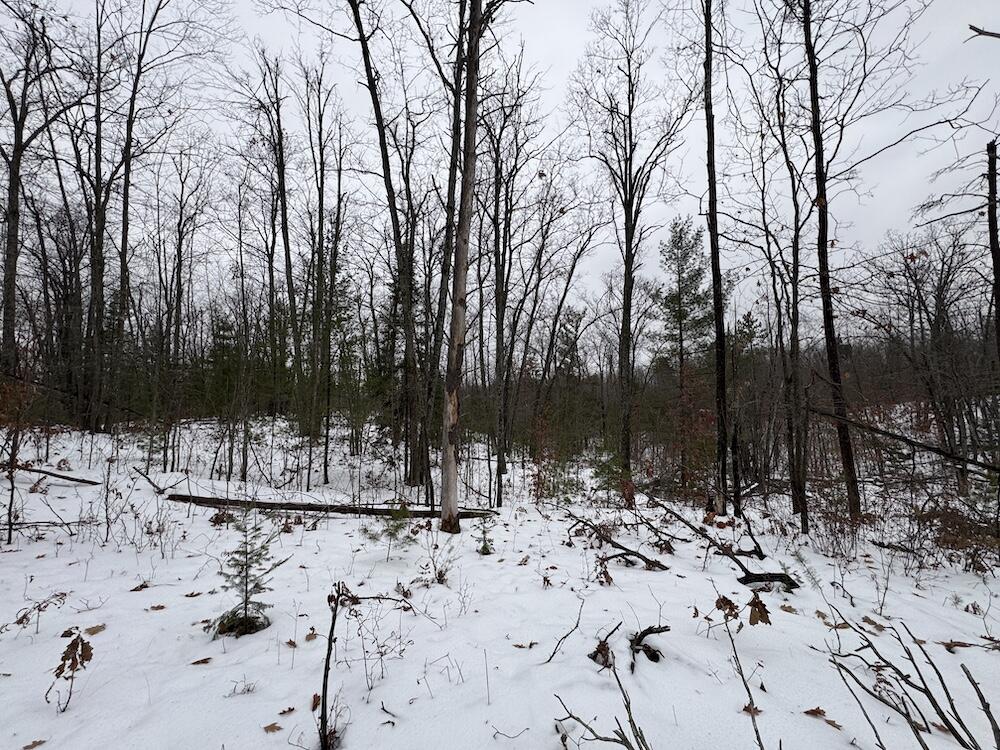 12871 Highway 33 Atlanta, MI 49709 - Photo 18 of 46 IMG_8244