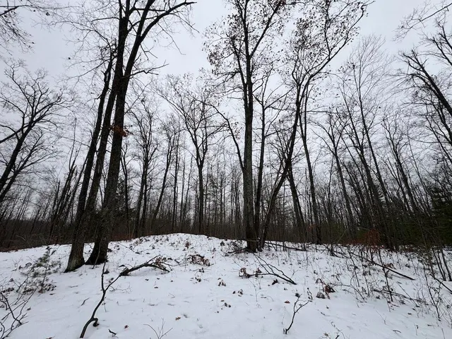 $154,900 | 12871 Highway 33, Atlanta, MI 49709