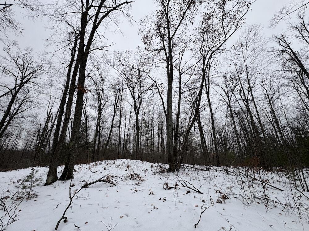 12871 Highway 33 Atlanta, MI 49709 - Photo 19 of 46 IMG_8245