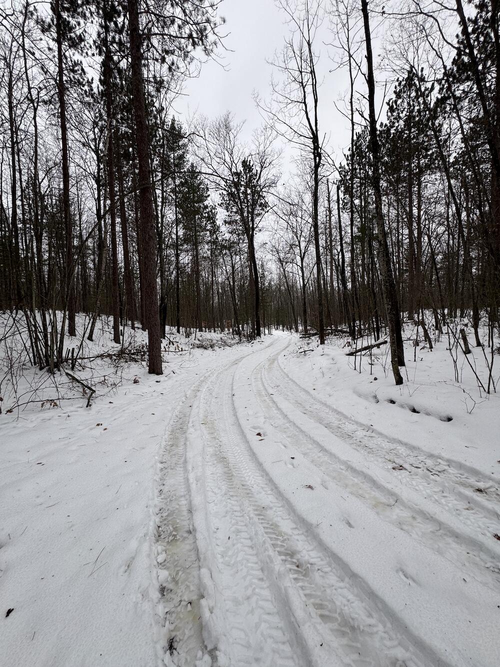 12871 Highway 33 Atlanta, MI 49709 - Photo 20 of 46 IMG_8249