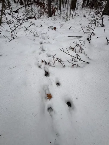 $154,900 | 12871 Highway 33, Atlanta, MI 49709