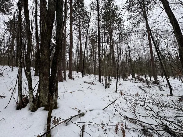 $149,900 | 12871 Highway 33, Atlanta, MI 49709