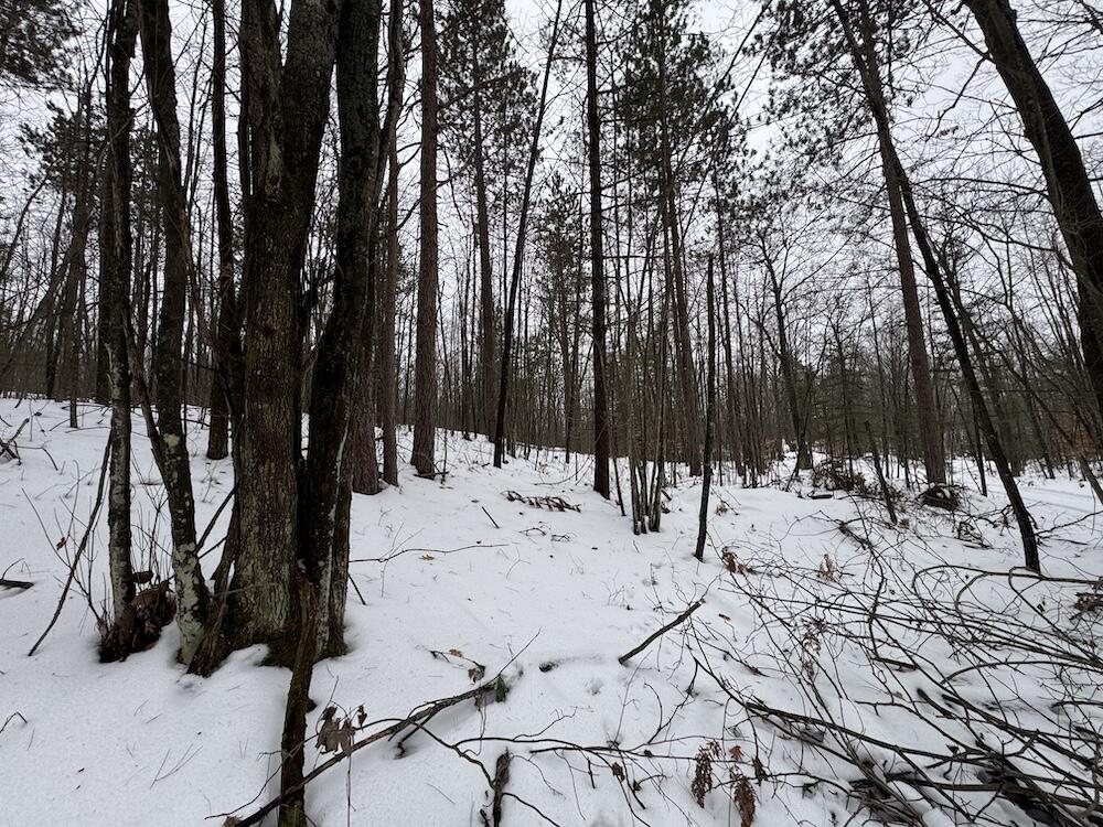 12871 Highway 33 Atlanta, MI 49709 - Photo 23 of 46 IMG_8252