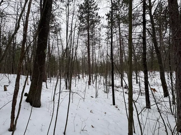 $149,900 | 12871 Highway 33, Atlanta, MI 49709