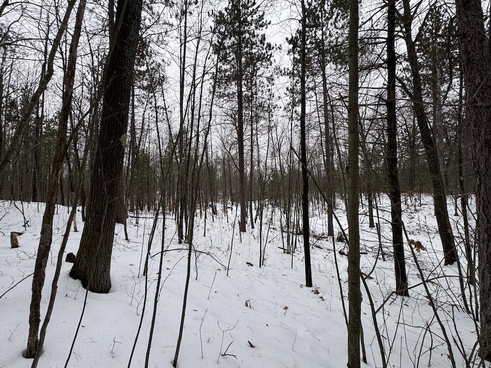 12871 Highway 33 Atlanta, MI 49709 - Photo 24 of 46 IMG_8253