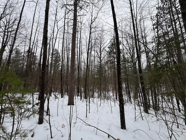 $154,900 | 12871 Highway 33, Atlanta, MI 49709