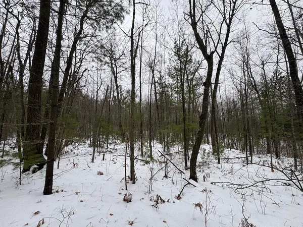 $149,900 | 12871 Highway 33, Atlanta, MI 49709