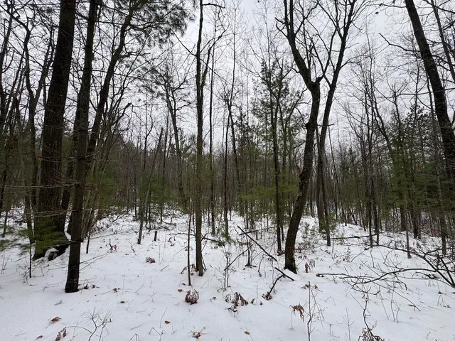 $154,900 | 12871 Highway 33, Atlanta, MI 49709