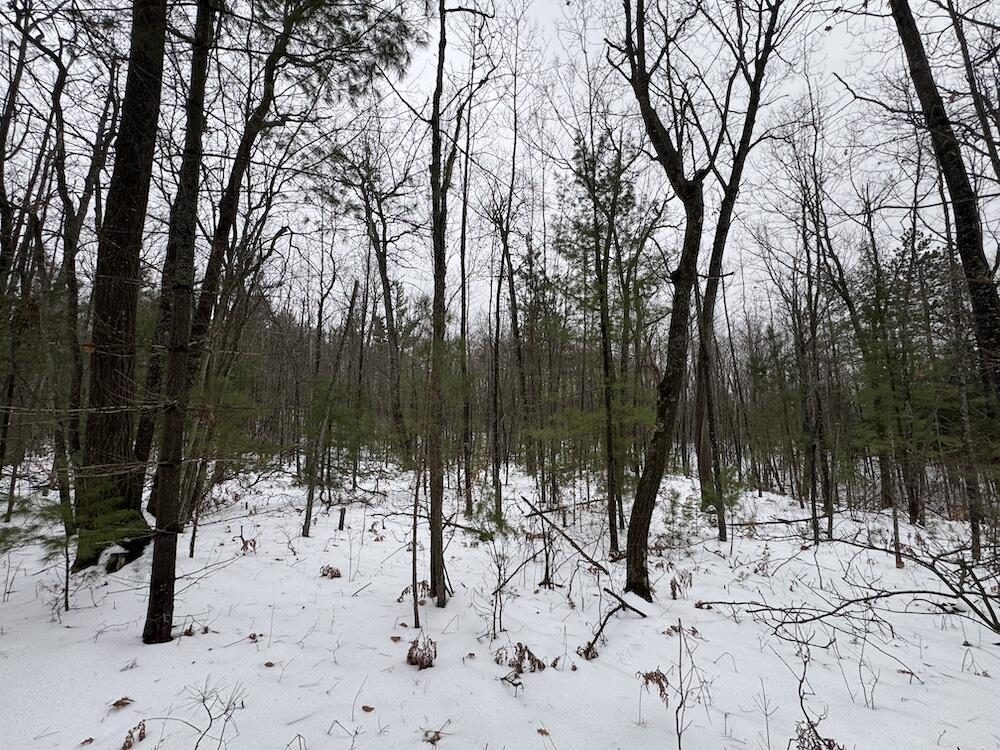 12871 Highway 33 Atlanta, MI 49709 - Photo 26 of 46 IMG_8255