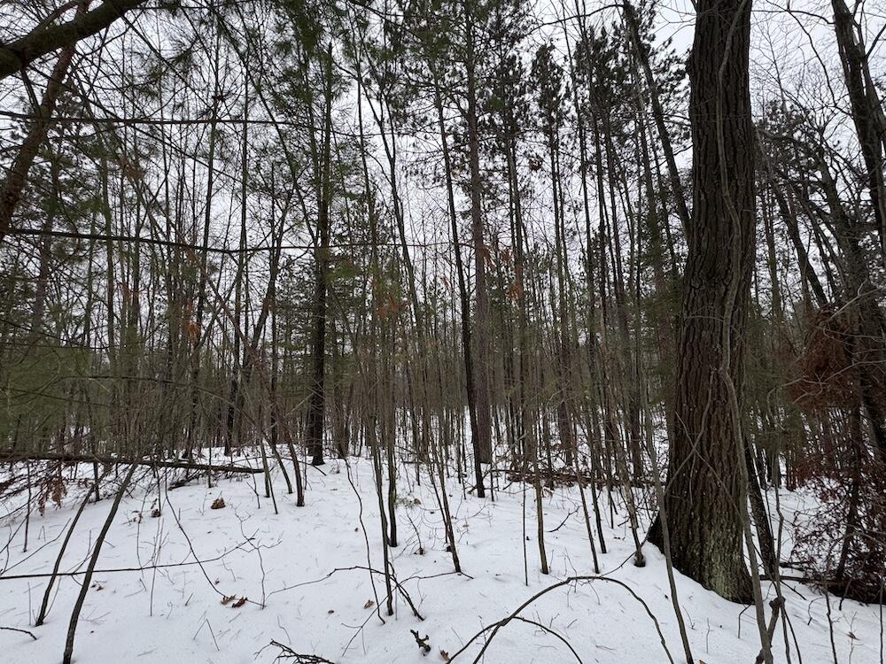 12871 Highway 33 Atlanta, MI 49709 - Photo 27 of 46 IMG_8256