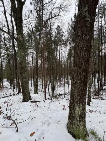 $149,900 | 12871 Highway 33, Atlanta, MI 49709