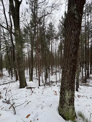 $154,900 | 12871 Highway 33, Atlanta, MI 49709