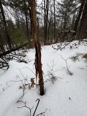 $154,900 | 12871 Highway 33, Atlanta, MI 49709