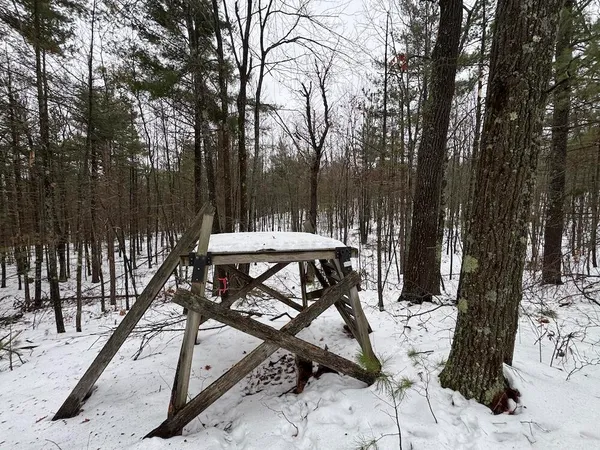 $149,900 | 12871 Highway 33, Atlanta, MI 49709