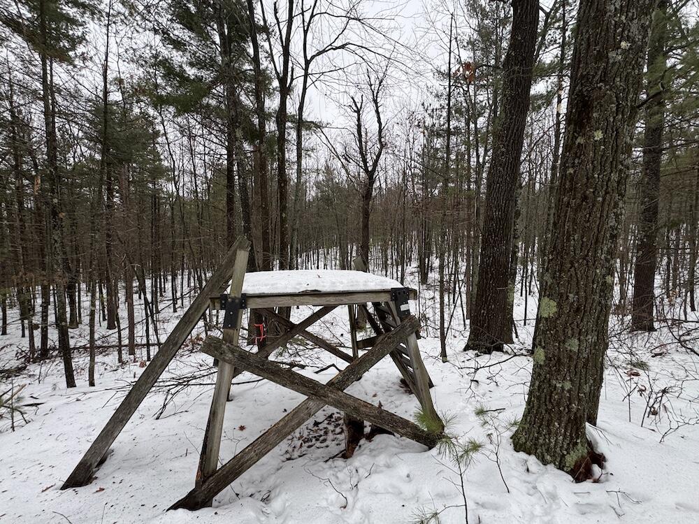 12871 Highway 33 Atlanta, MI 49709 - Photo 30 of 46 IMG_8259