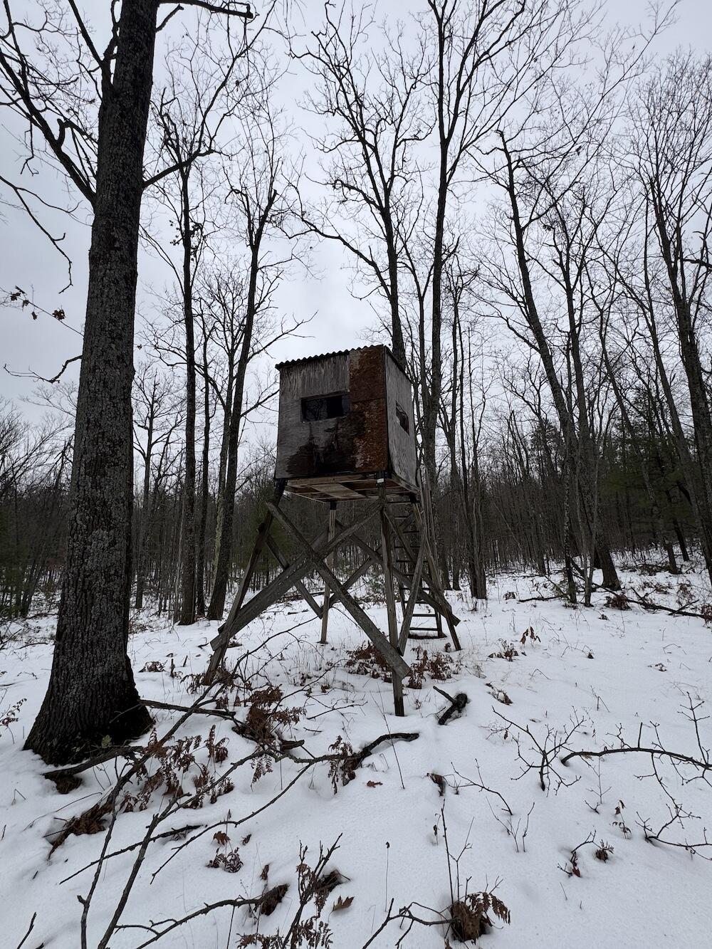 12871 Highway 33 Atlanta, MI 49709 - Photo 3 of 46 3