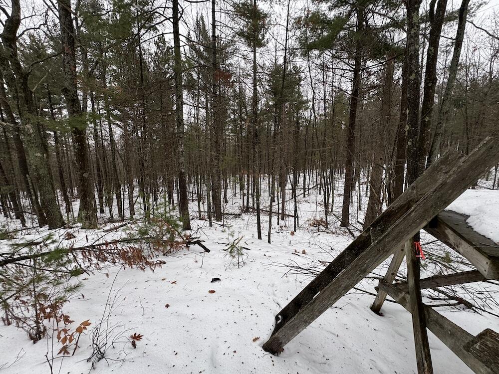 12871 Highway 33 Atlanta, MI 49709 - Photo 32 of 46 IMG_8261