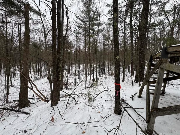 $149,900 | 12871 Highway 33, Atlanta, MI 49709