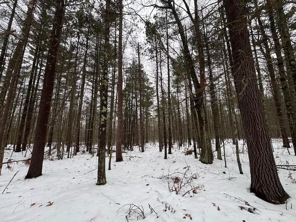 $149,900 | 12871 Highway 33, Atlanta, MI 49709