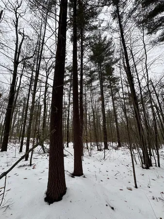 $149,900 | 12871 Highway 33, Atlanta, MI 49709