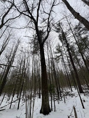 $154,900 | 12871 Highway 33, Atlanta, MI 49709