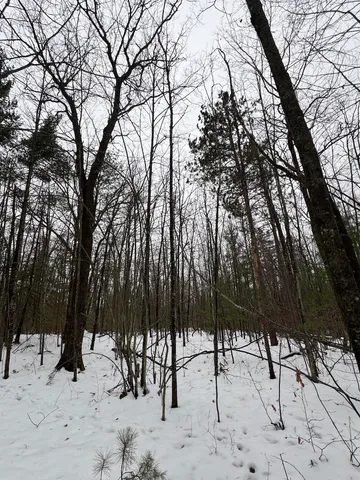 $154,900 | 12871 Highway 33, Atlanta, MI 49709