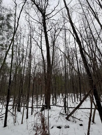 $149,900 | 12871 Highway 33, Atlanta, MI 49709