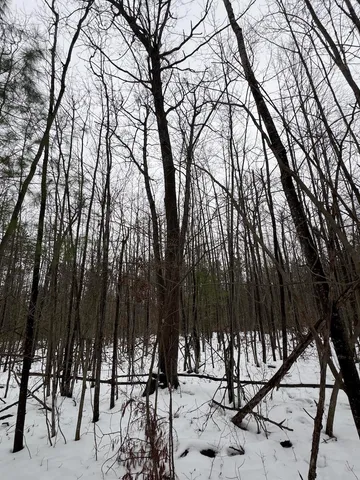 $154,900 | 12871 Highway 33, Atlanta, MI 49709