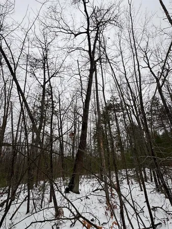 $149,900 | 12871 Highway 33, Atlanta, MI 49709